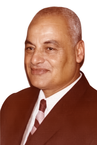 محمود شلبي